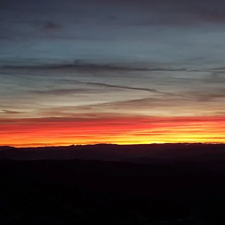 Lux B1 Milmari 科帕奥尼克