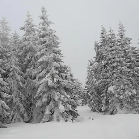 Lux B1 Milmari 科帕奥尼克