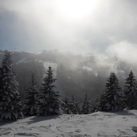 公寓 Lux B1 Milmari 科帕奥尼克