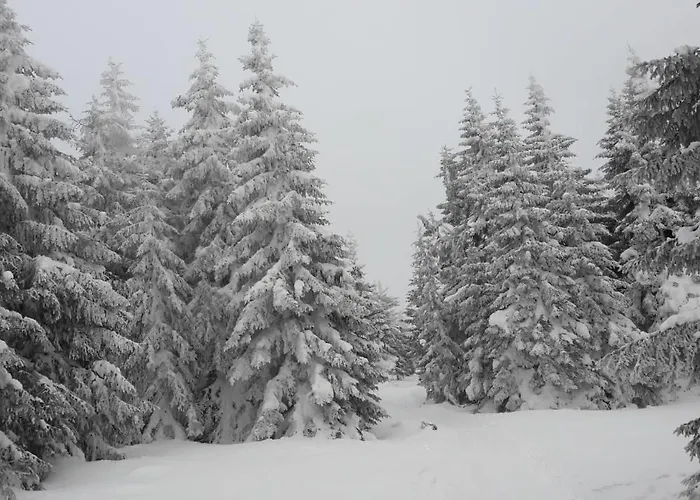 Lux B1 Milmari 카파오닉