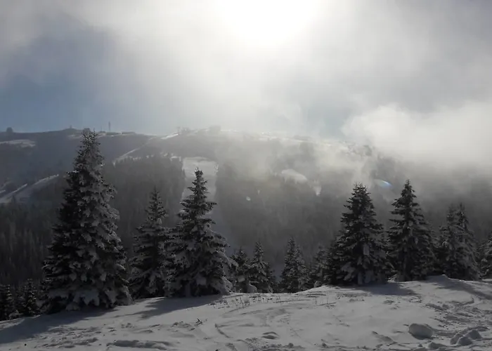 아파트 Lux B1 Milmari 카파오닉