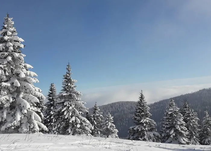 아파트 Lux B1 Milmari *